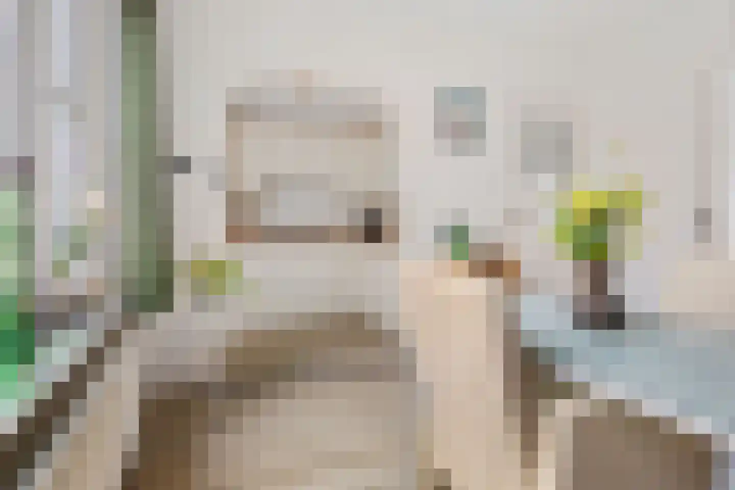 Hoofdstraat 21 Bad Nieuweschans thumbnail 10