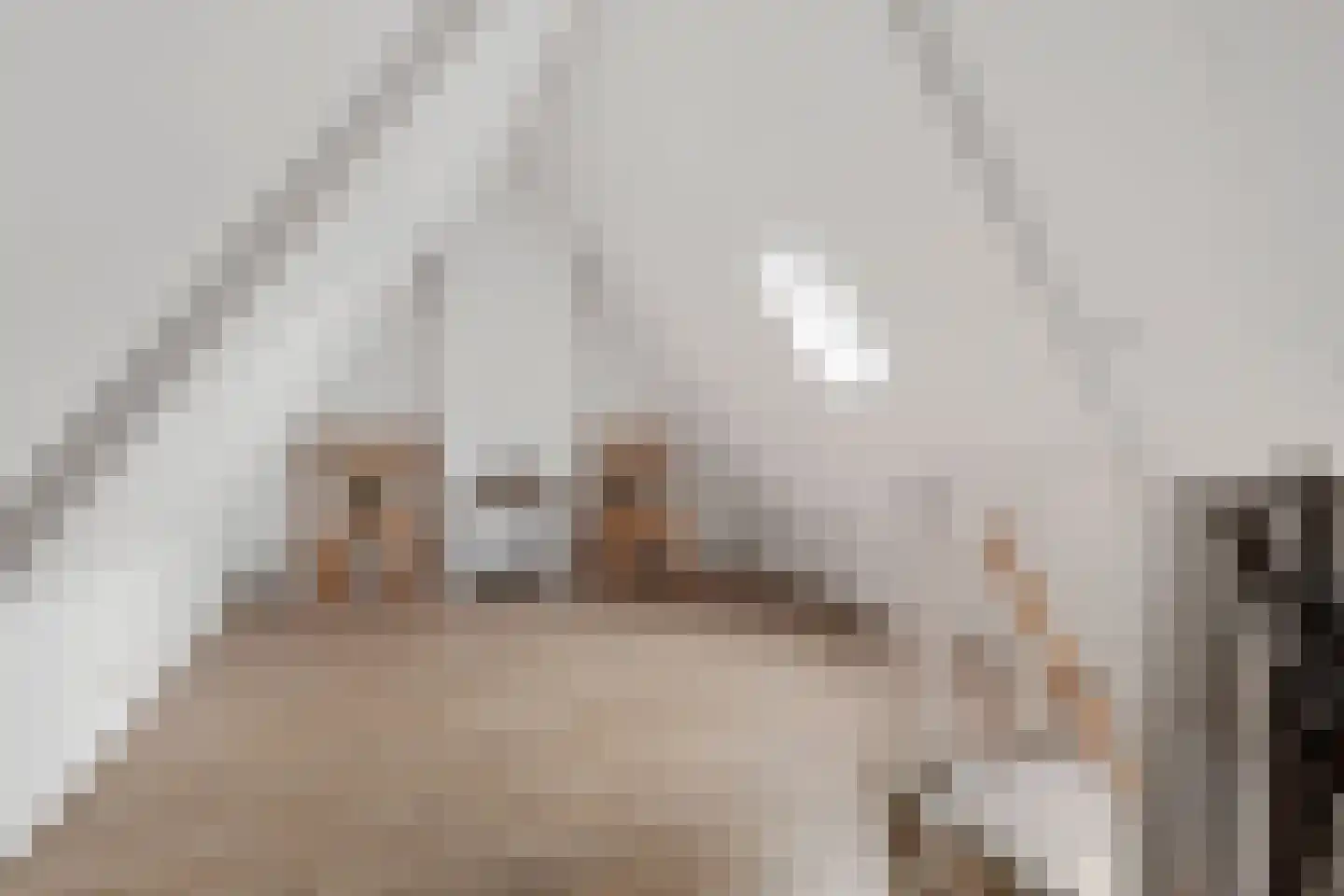 Hoofdstraat 21 Bad Nieuweschans thumbnail 32