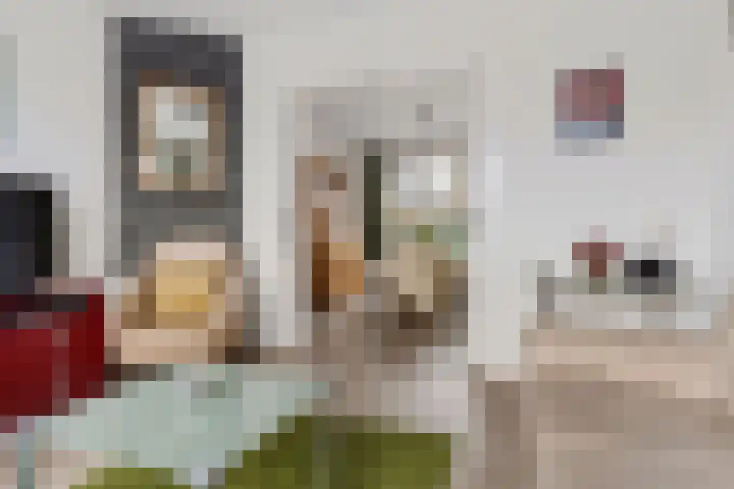 Hoofdstraat 21 Bad Nieuweschans thumbnail 6