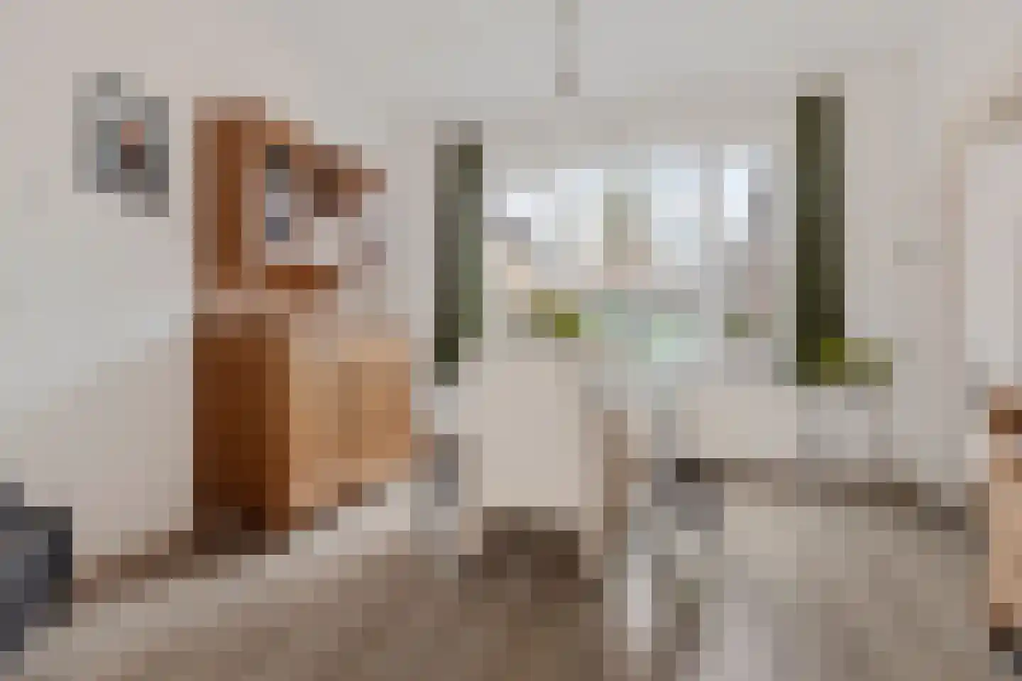 Hoofdstraat 21 Bad Nieuweschans thumbnail 8
