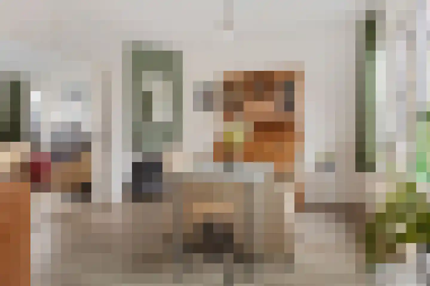 Hoofdstraat 21 Bad Nieuweschans thumbnail 9