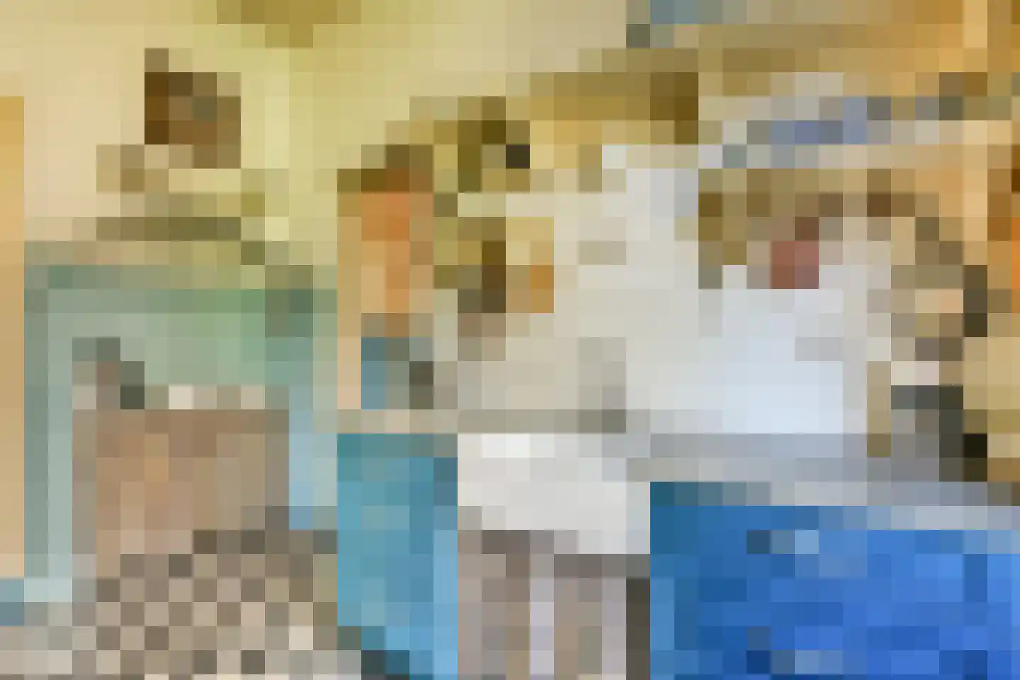 Hoofdstraat 21 Sassenheim thumbnail 15