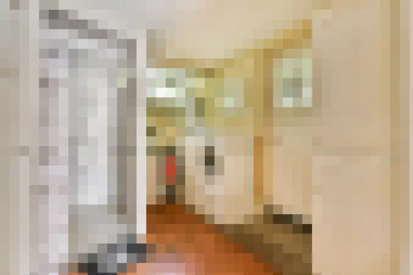 Hoofdstraat 21 Sassenheim thumbnail 16
