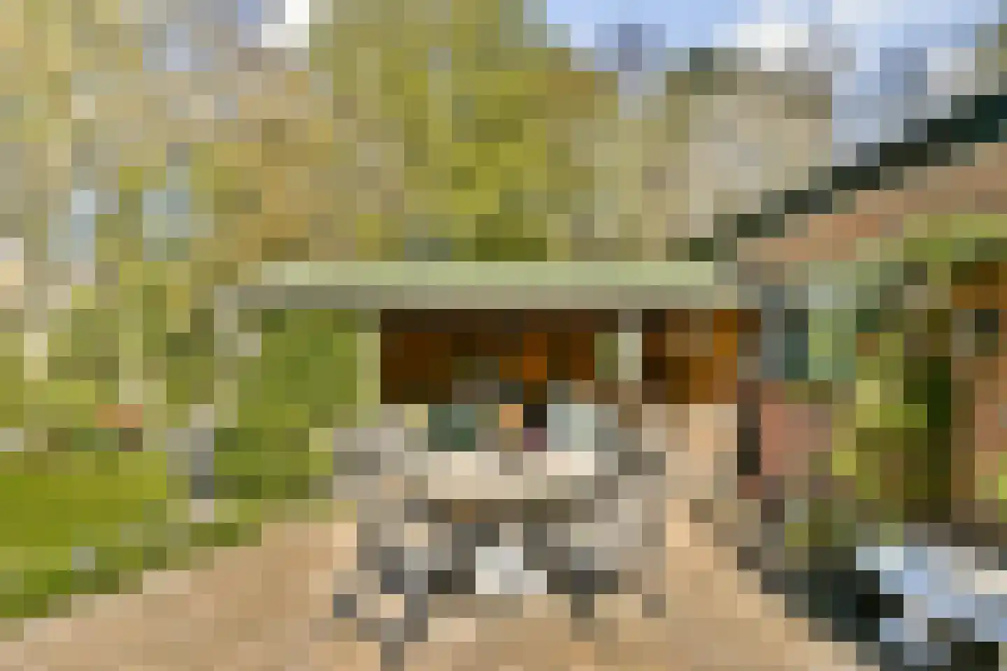 Hoofdstraat 21 Sassenheim thumbnail 25