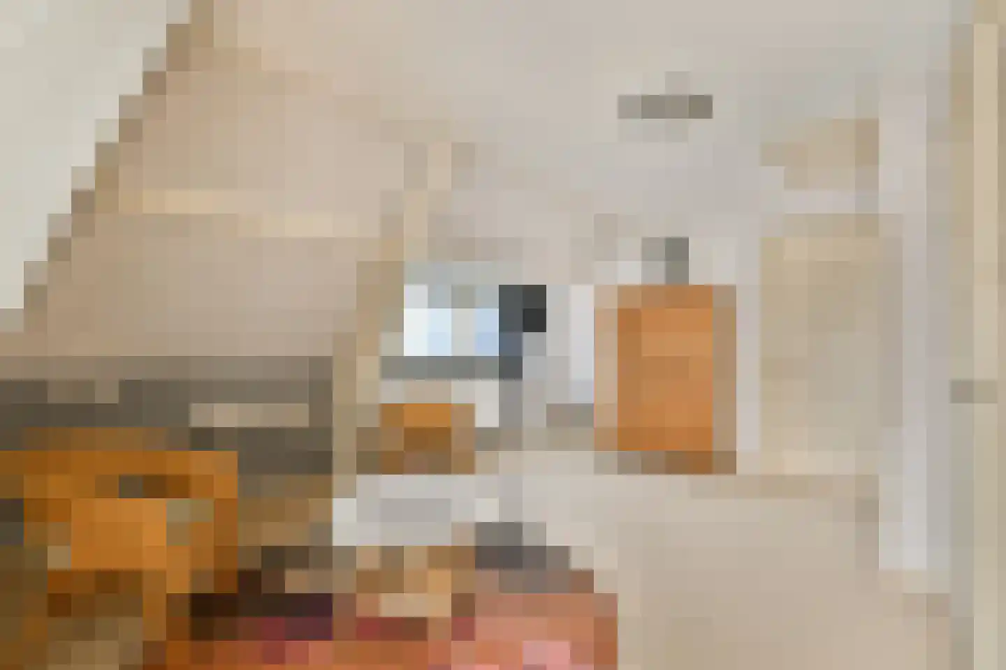Hoofdstraat 21 Sassenheim thumbnail 31