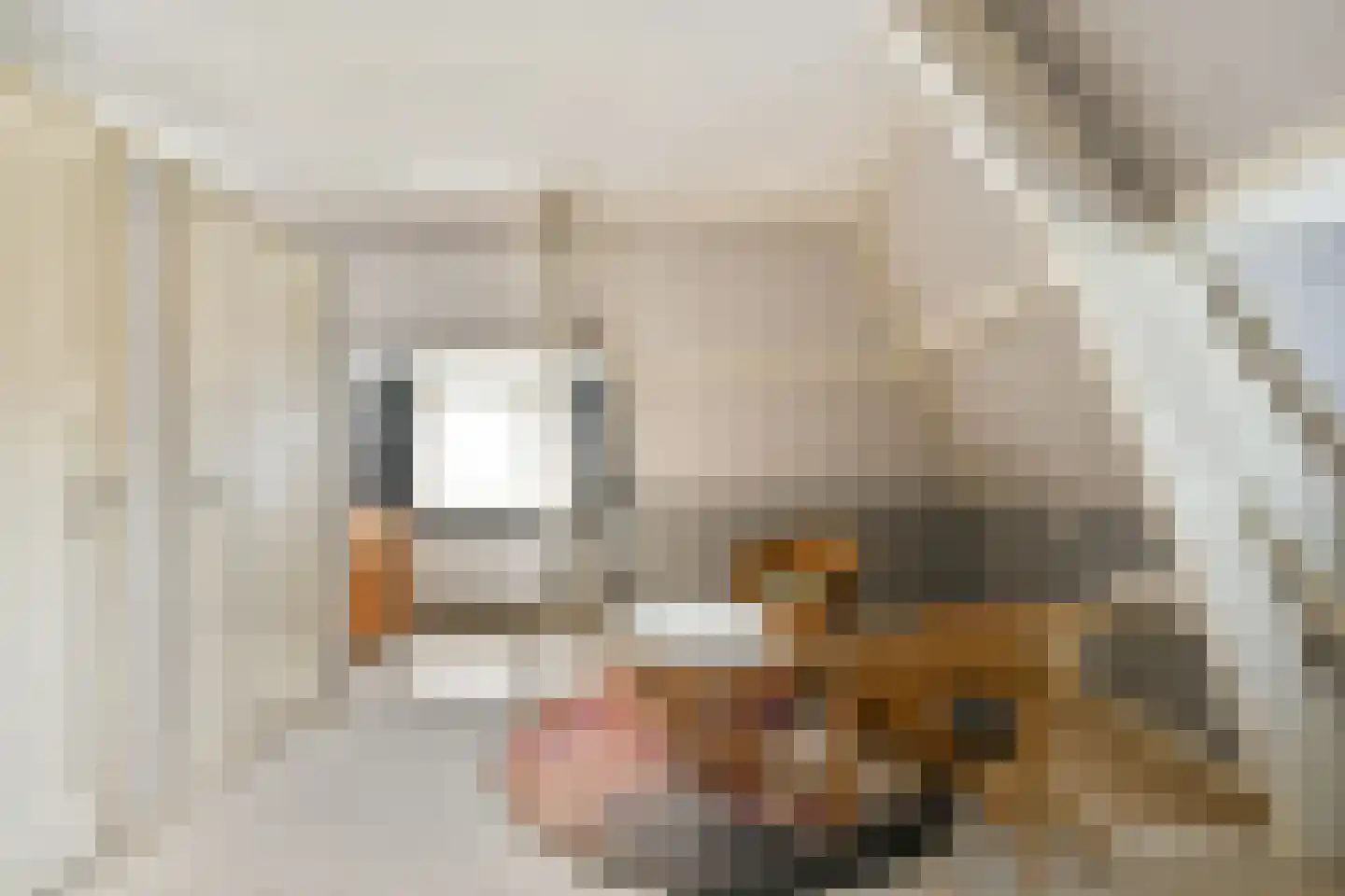 Hoofdstraat 21 Sassenheim thumbnail 32