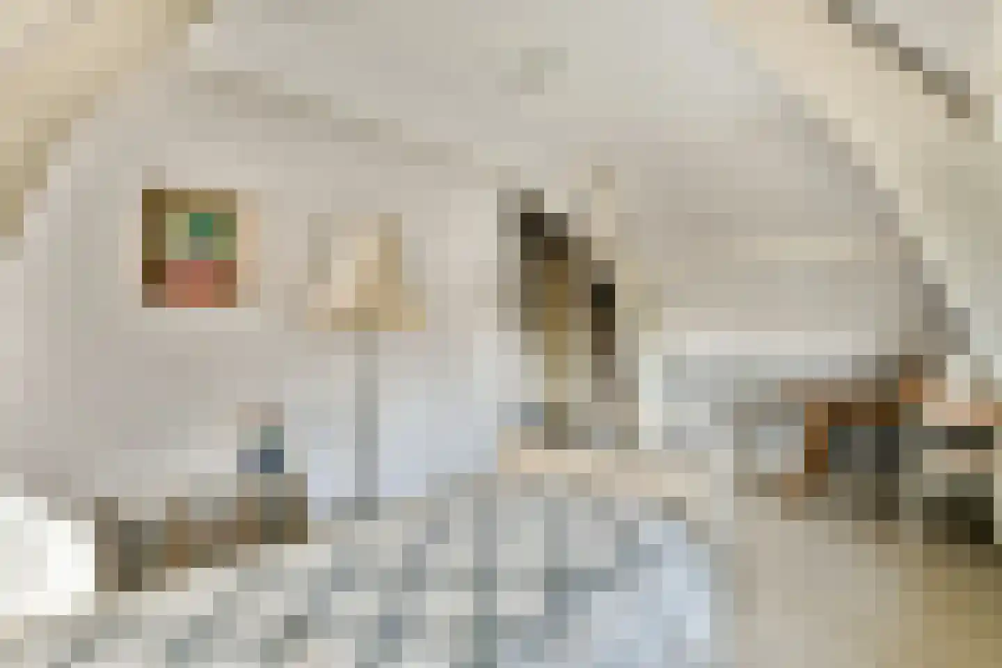 Hoofdstraat 21 Sassenheim thumbnail 34