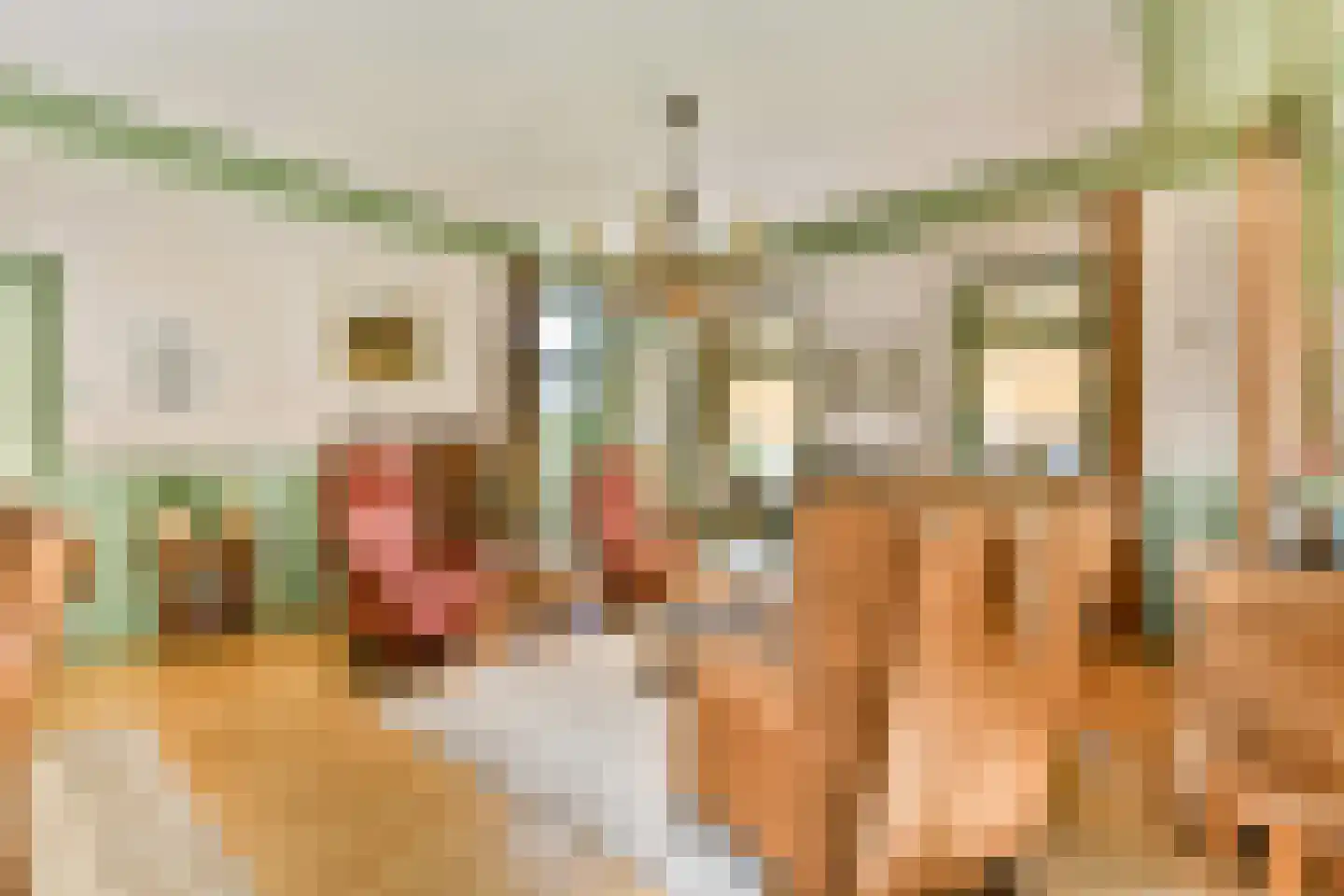 Hoofdstraat 21 Sassenheim thumbnail 7