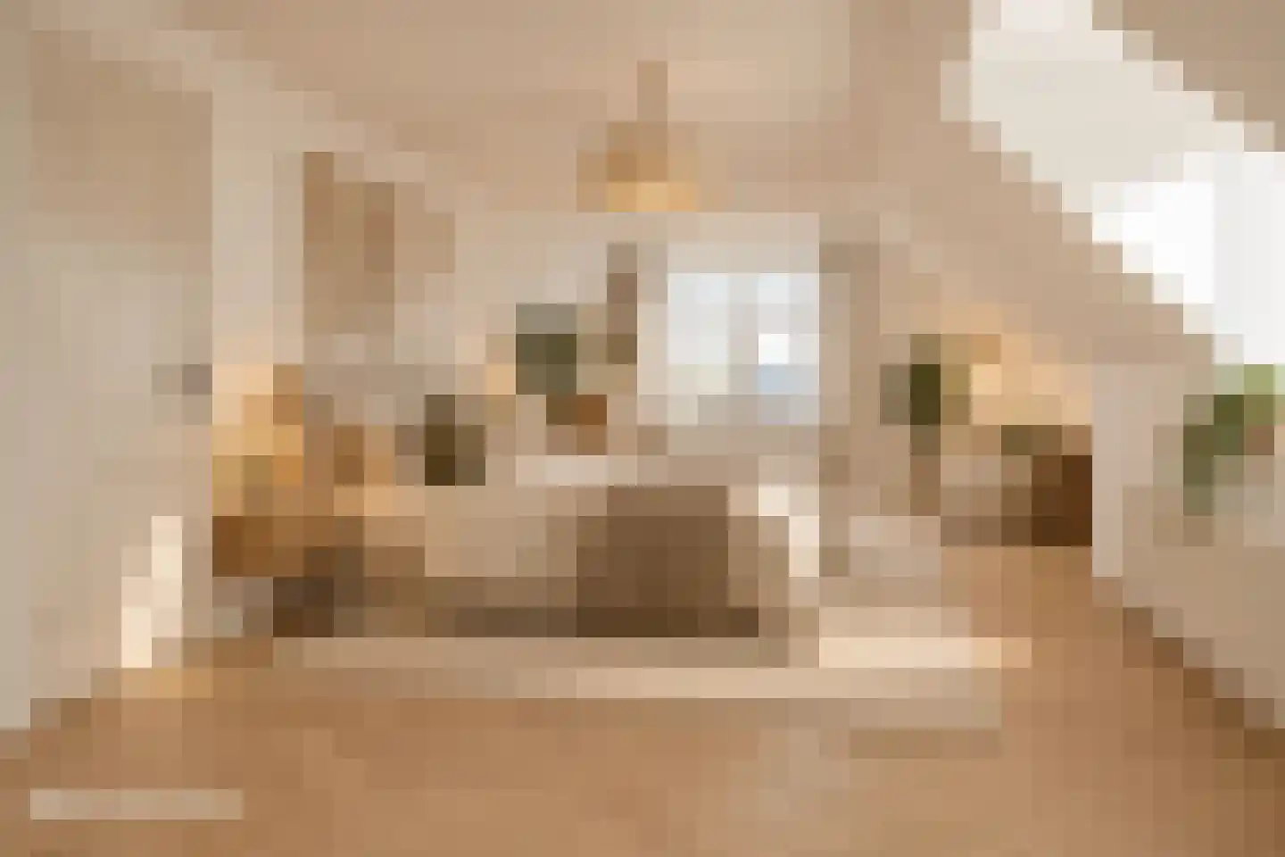 Hoofdstraat 21 Zuidhorn thumbnail 20