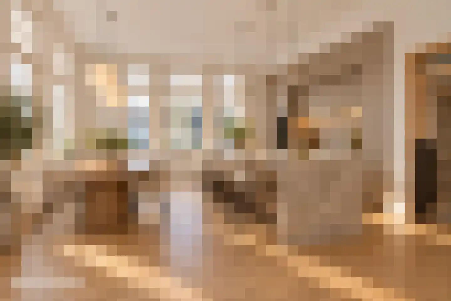 Hoofdstraat 21 Zuidhorn thumbnail 8