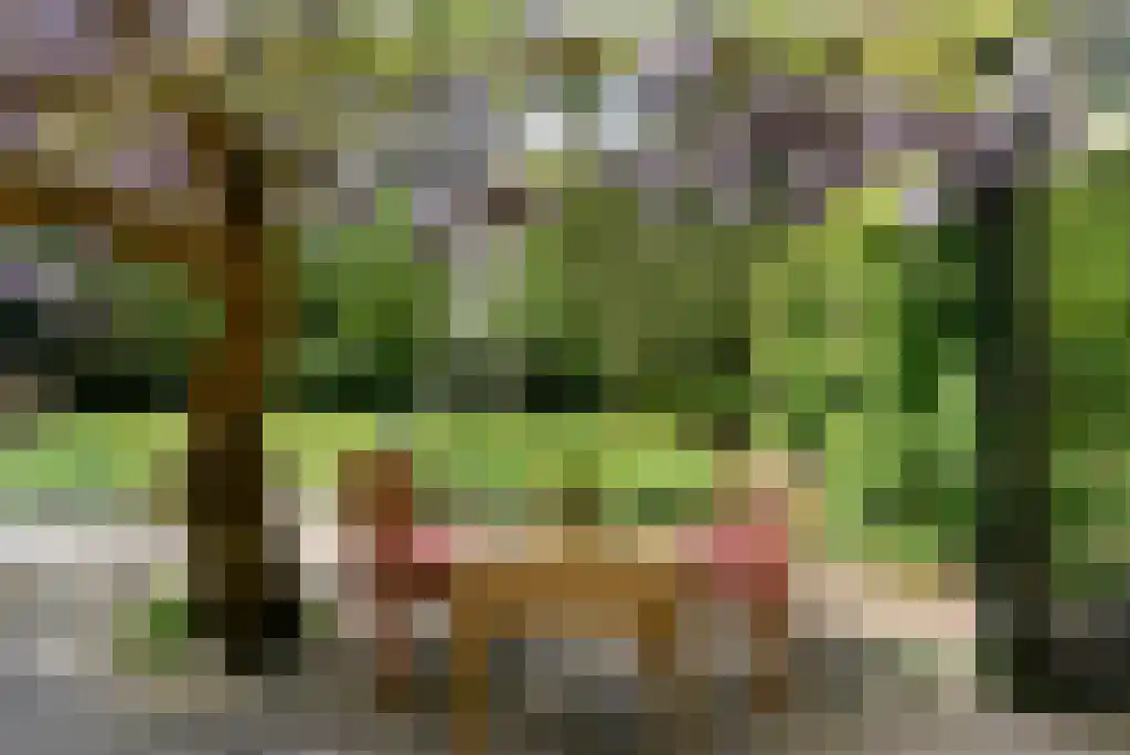 Hoofdstraat 212 Driebergen-Rijsenburg thumbnail 5