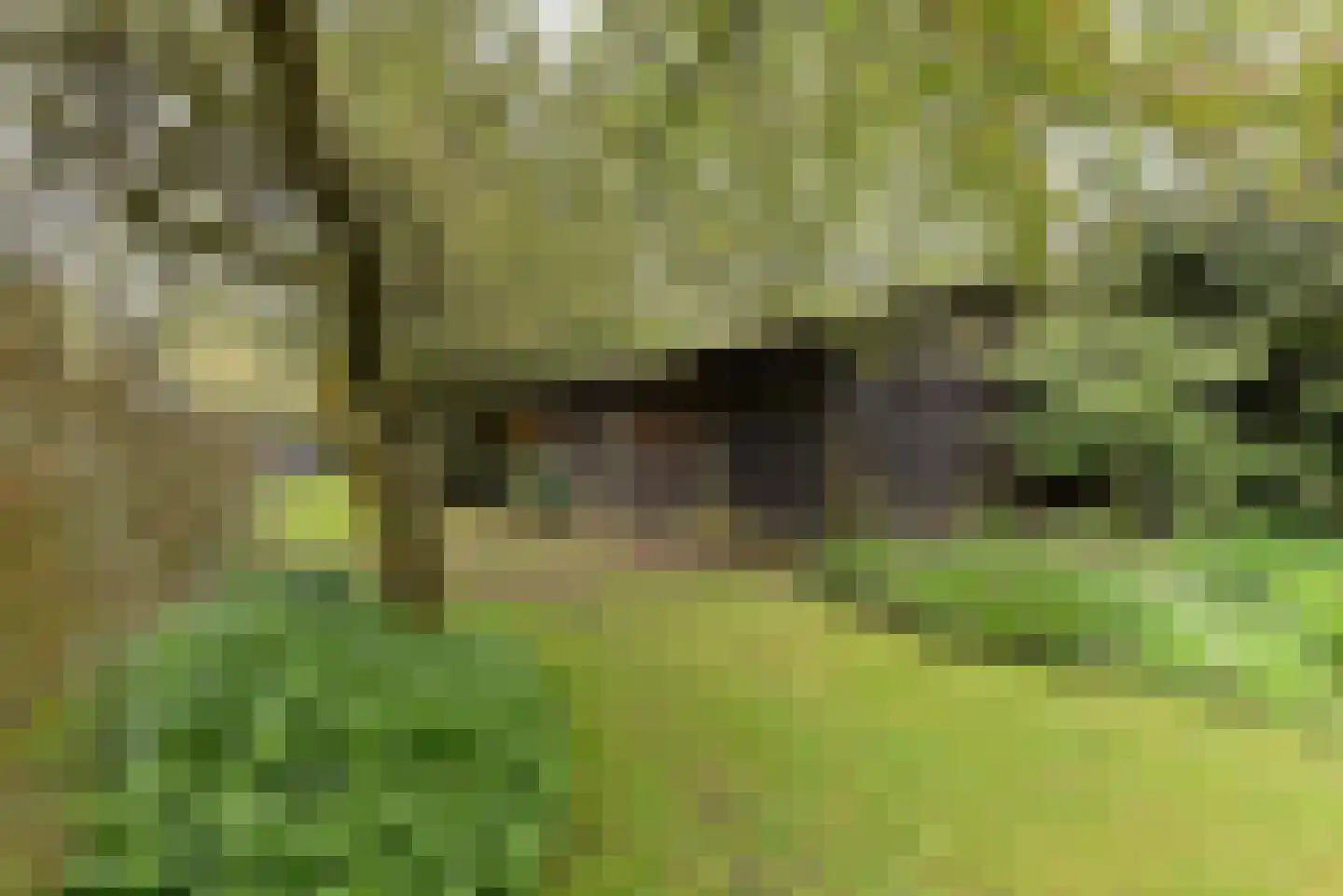 Hoofdstraat 212 Driebergen-Rijsenburg thumbnail 6