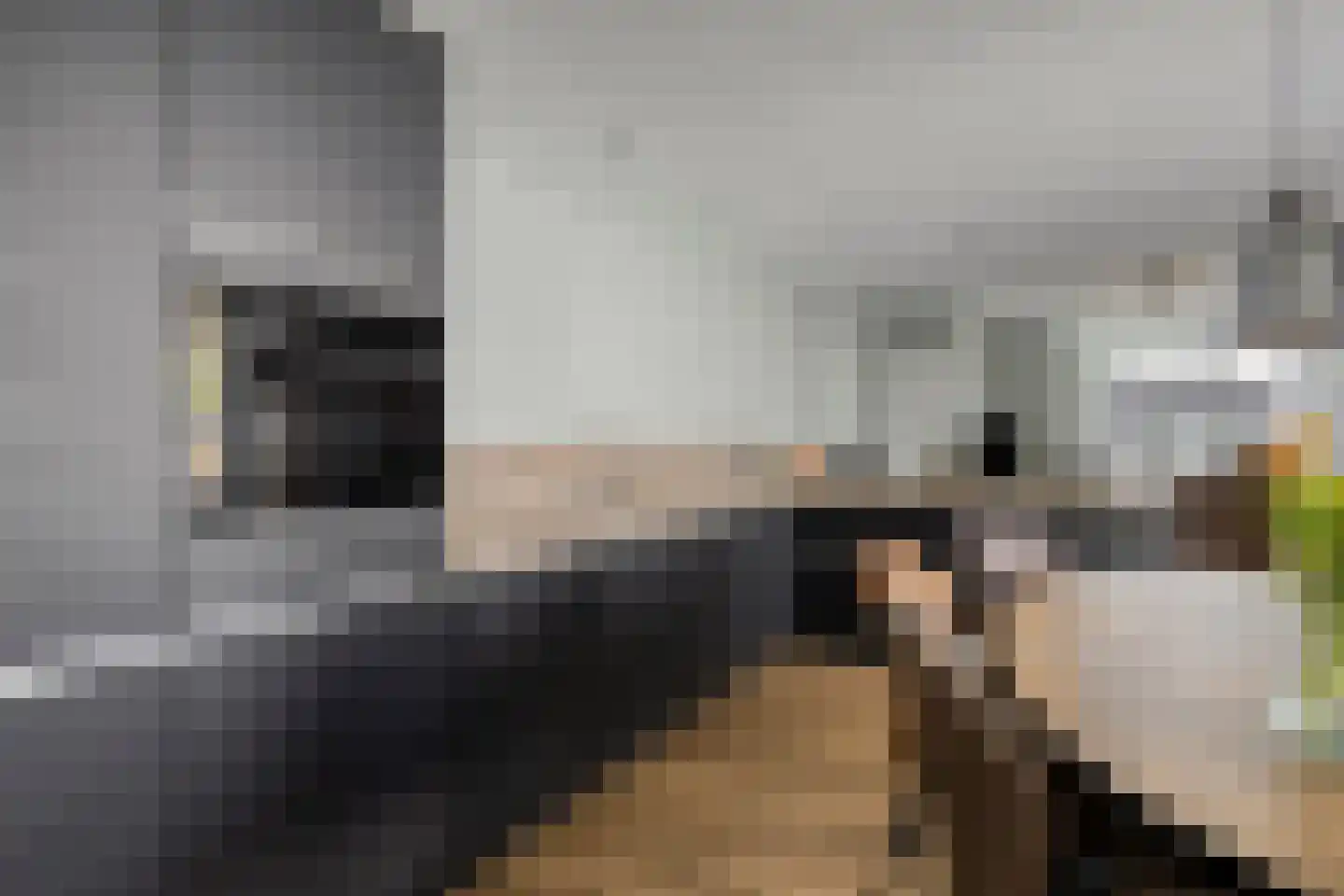 Hoofdstraat 215 Overdinkel thumbnail 15