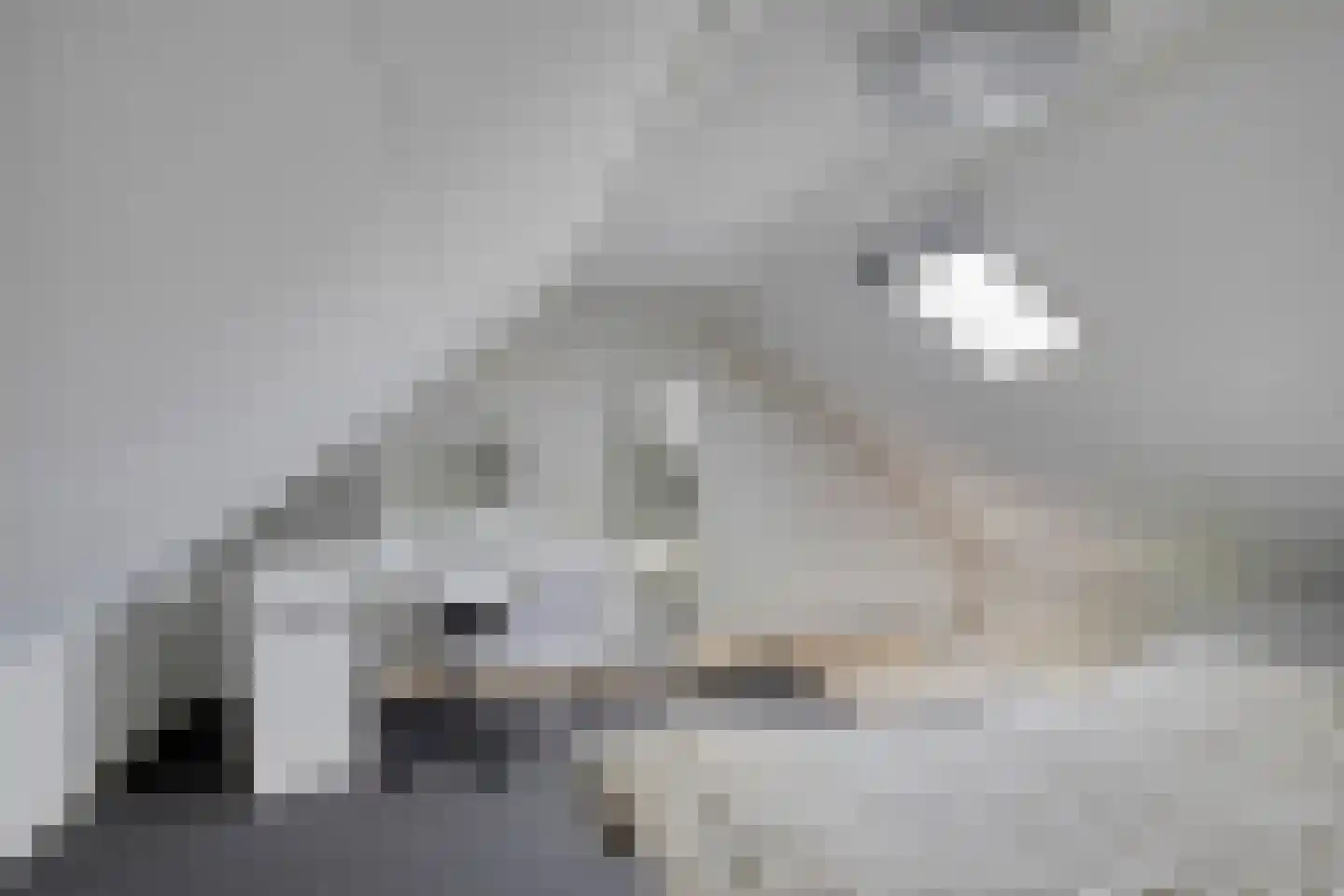 Hoofdstraat 215 Overdinkel thumbnail 31