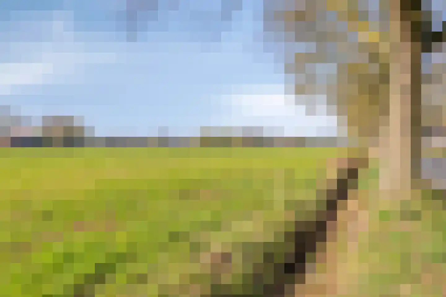 Hoofdstraat 215 Overdinkel thumbnail 42