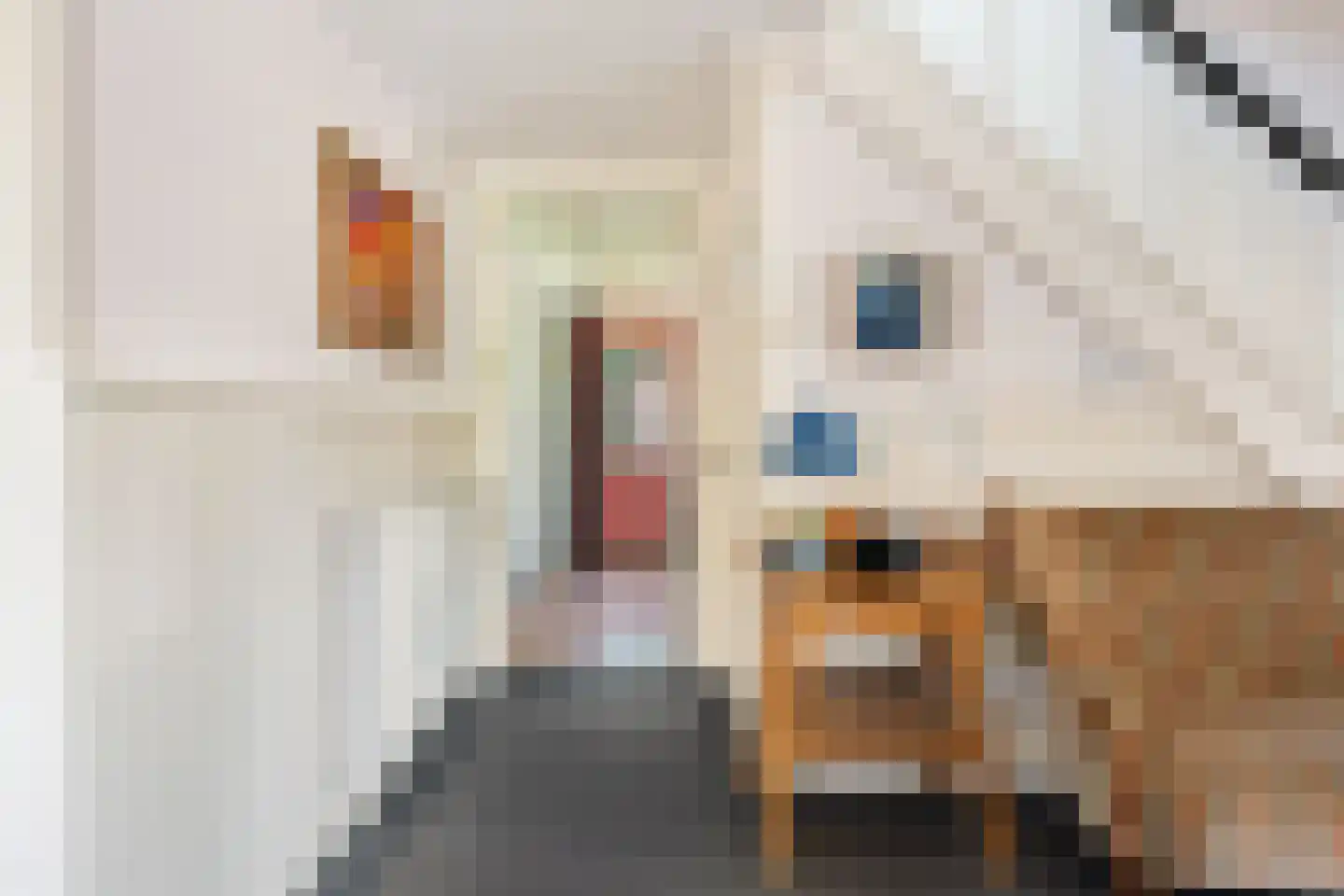 Hoofdstraat 217 Beerta thumbnail 13