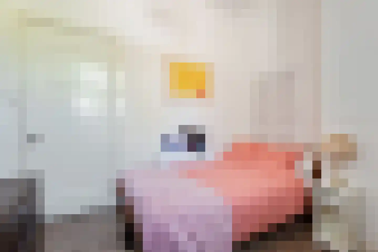 Hoofdstraat 217 Beerta thumbnail 14