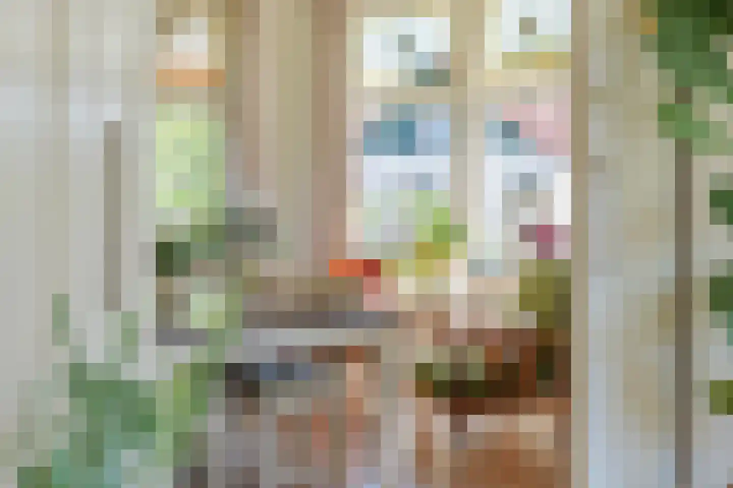Hoofdstraat 217 Beerta thumbnail 25