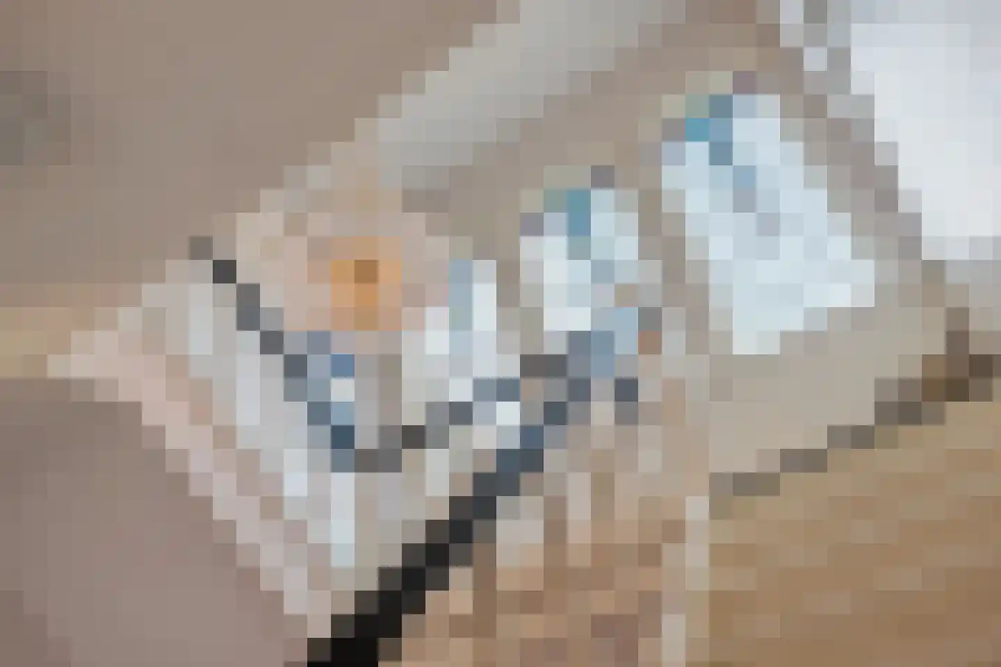 Hoofdstraat 217 Beerta thumbnail 32