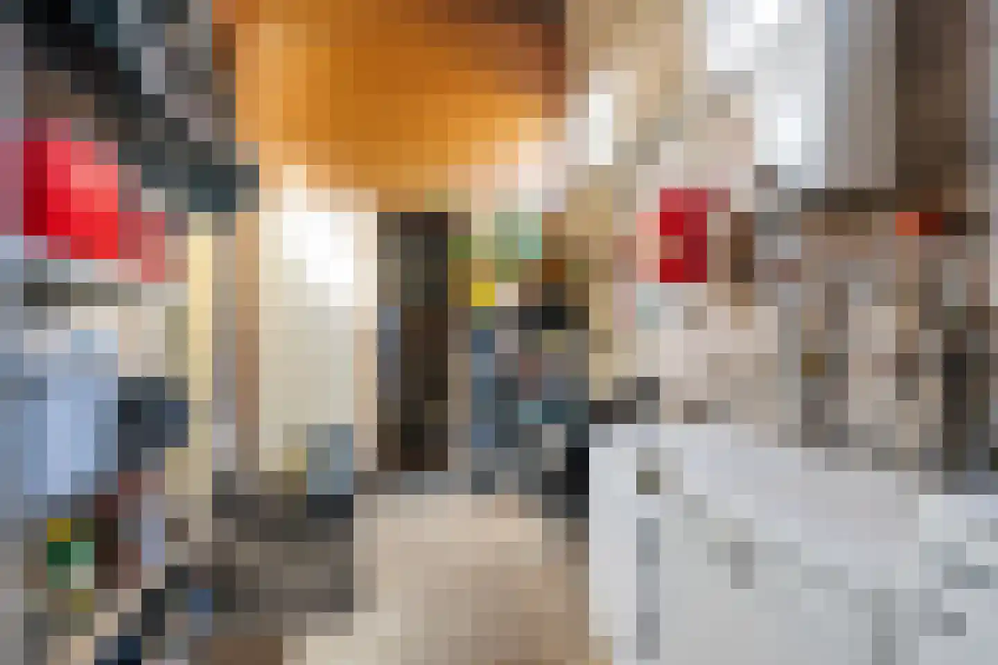 Hoofdstraat 217 Beerta thumbnail 33