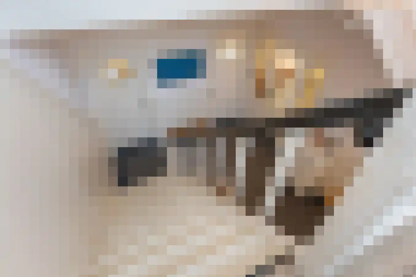 Hoofdstraat 217 Beerta thumbnail 34