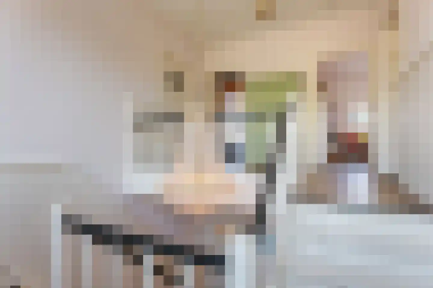 Hoofdstraat 217 Beerta thumbnail 35