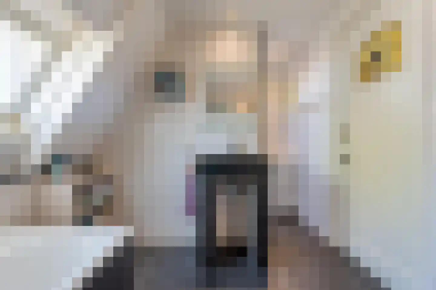 Hoofdstraat 217 Beerta thumbnail 37