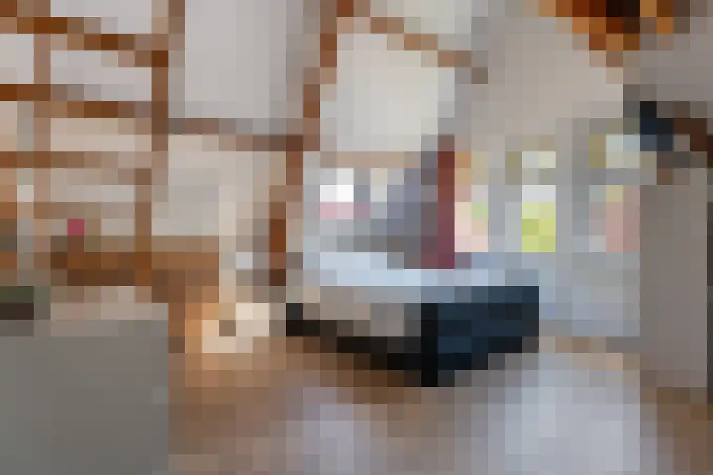 Hoofdstraat 217 Beerta thumbnail 39