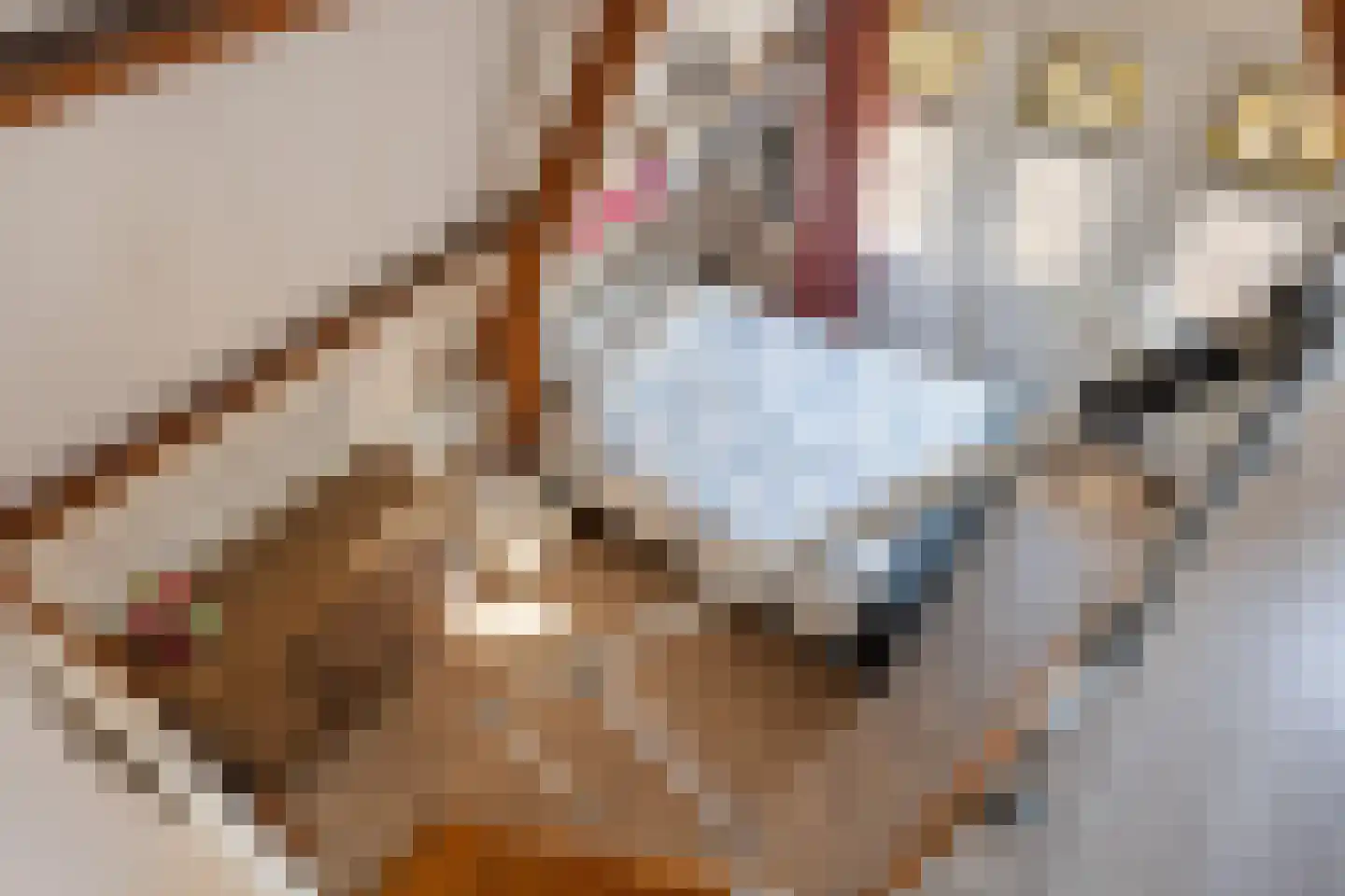 Hoofdstraat 217 Beerta thumbnail 42
