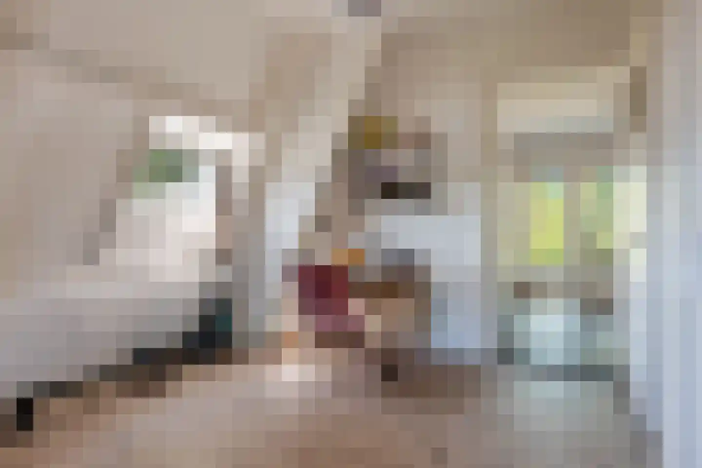 Hoofdstraat 217 Beerta thumbnail 44