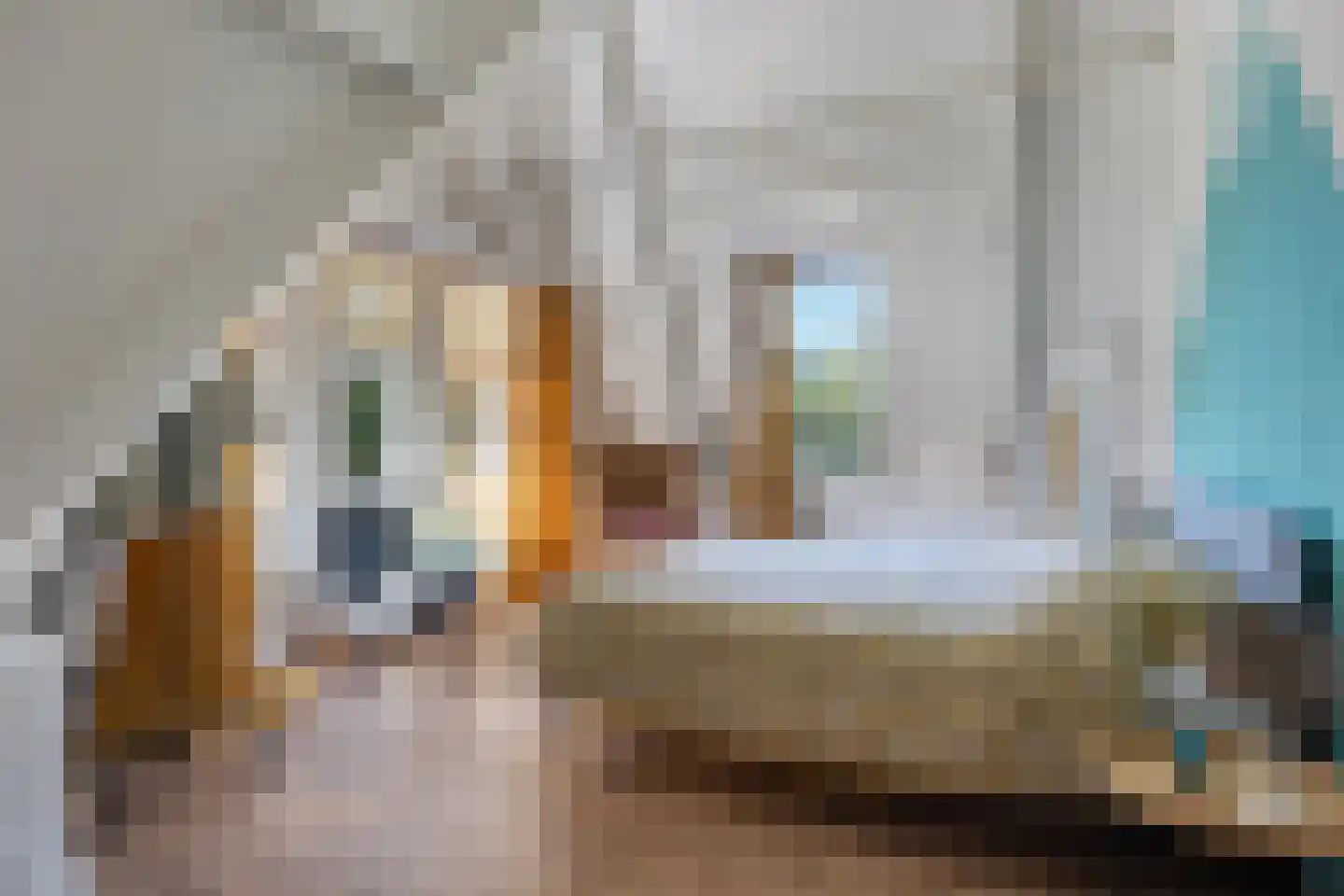 Hoofdstraat 217 Beerta thumbnail 45