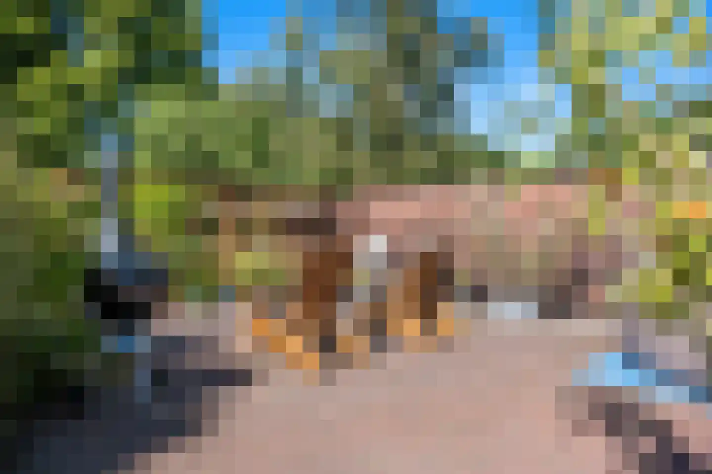 Hoofdstraat 217 Beerta thumbnail 49
