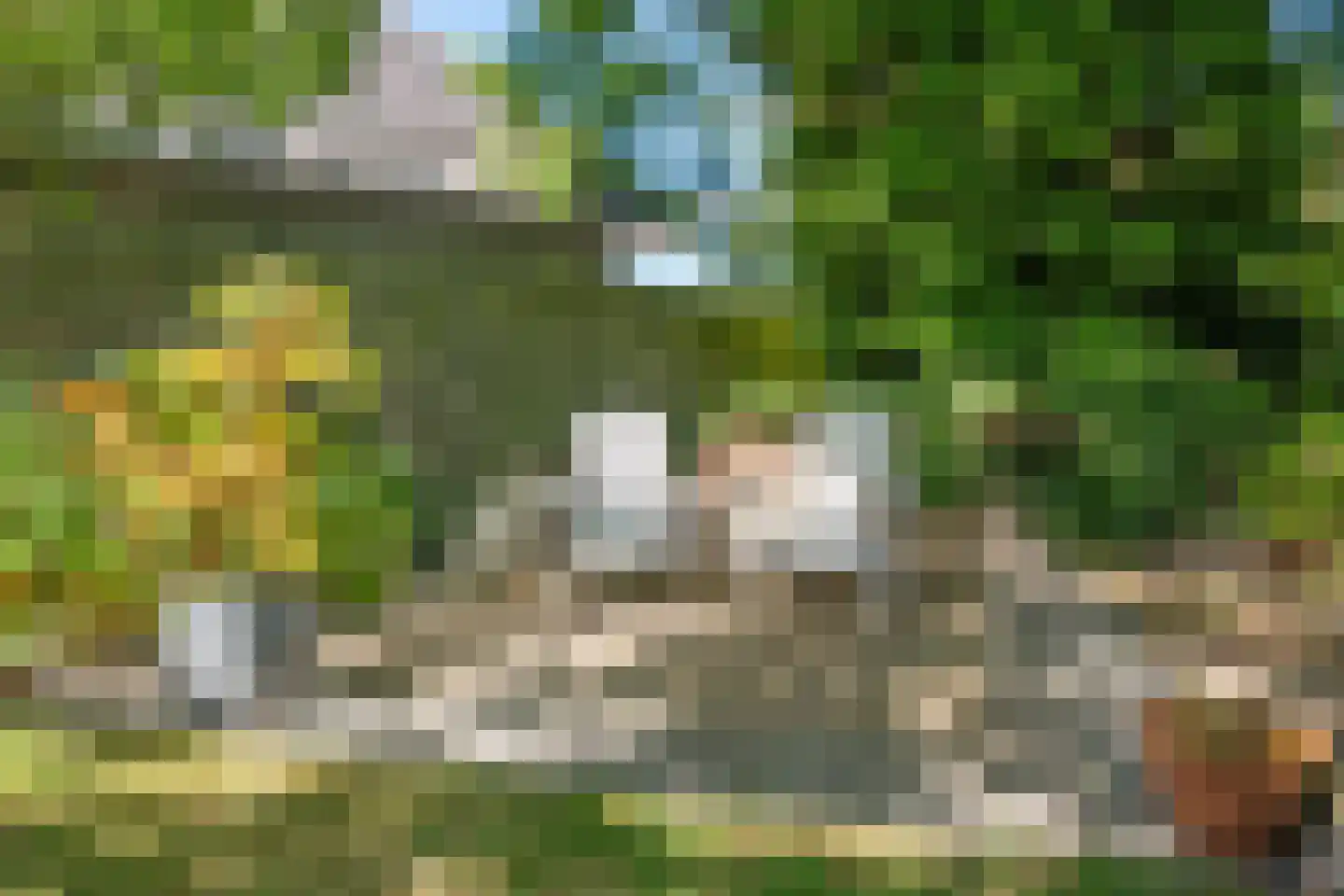 Hoofdstraat 217 Beerta thumbnail 51