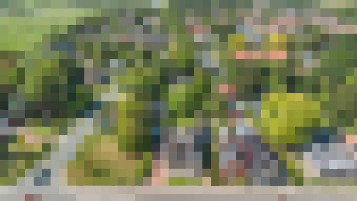 Hoofdstraat 217 Beerta thumbnail 55