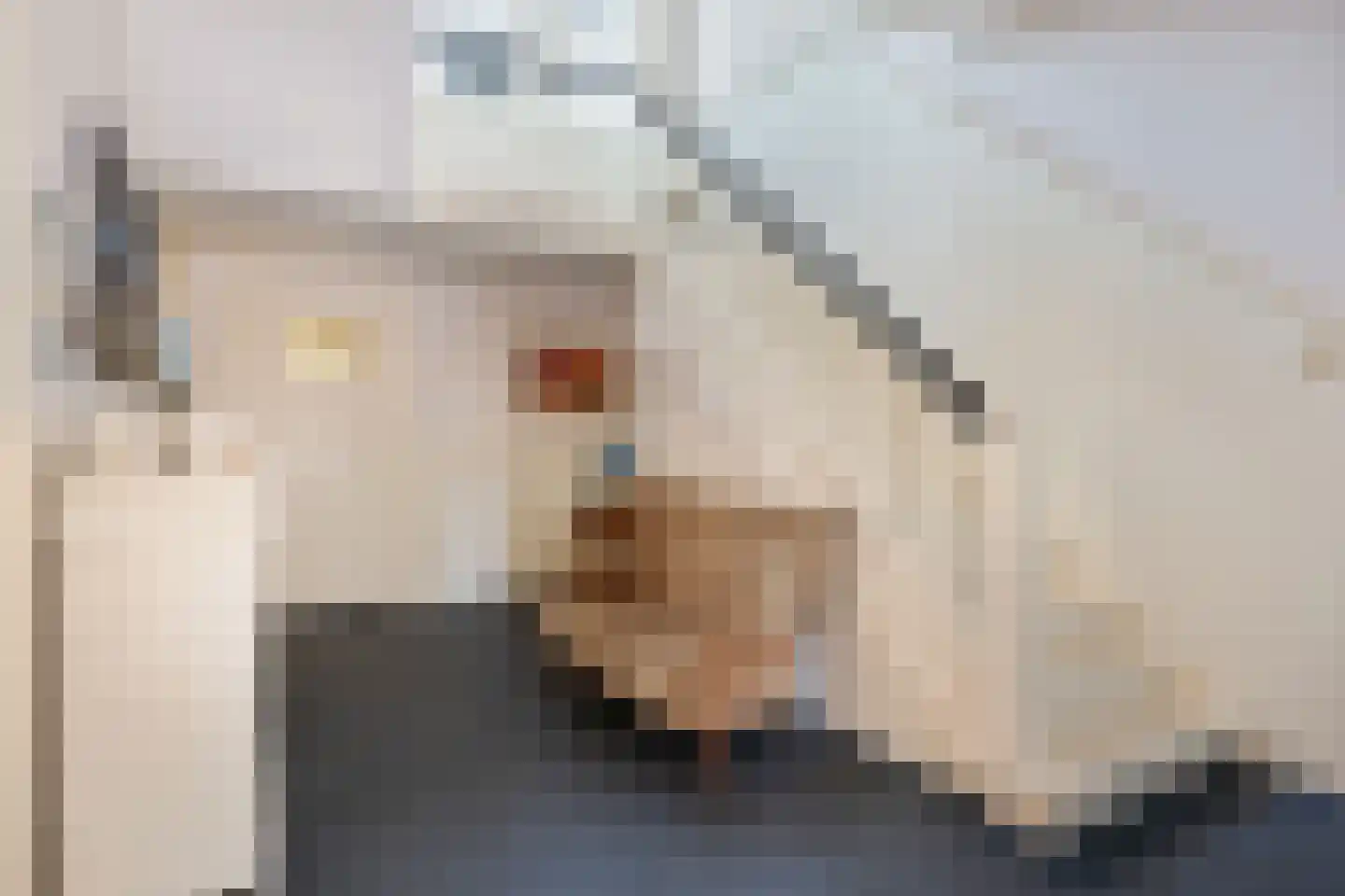 Hoofdstraat 217 Beerta thumbnail 8