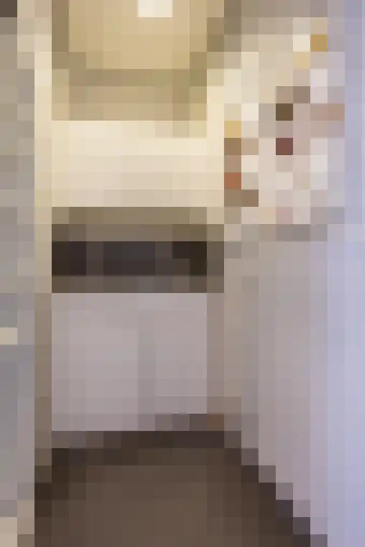 Hoofdstraat 22 Ferwert thumbnail 15