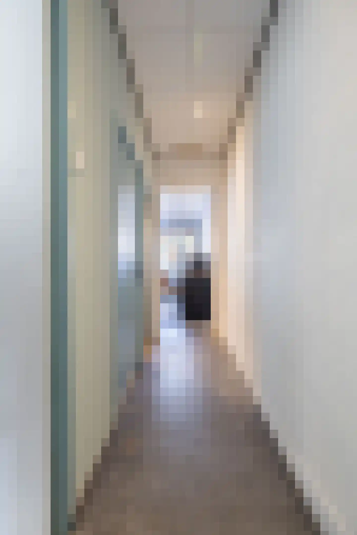 Hoofdstraat 22 Ferwert thumbnail 18
