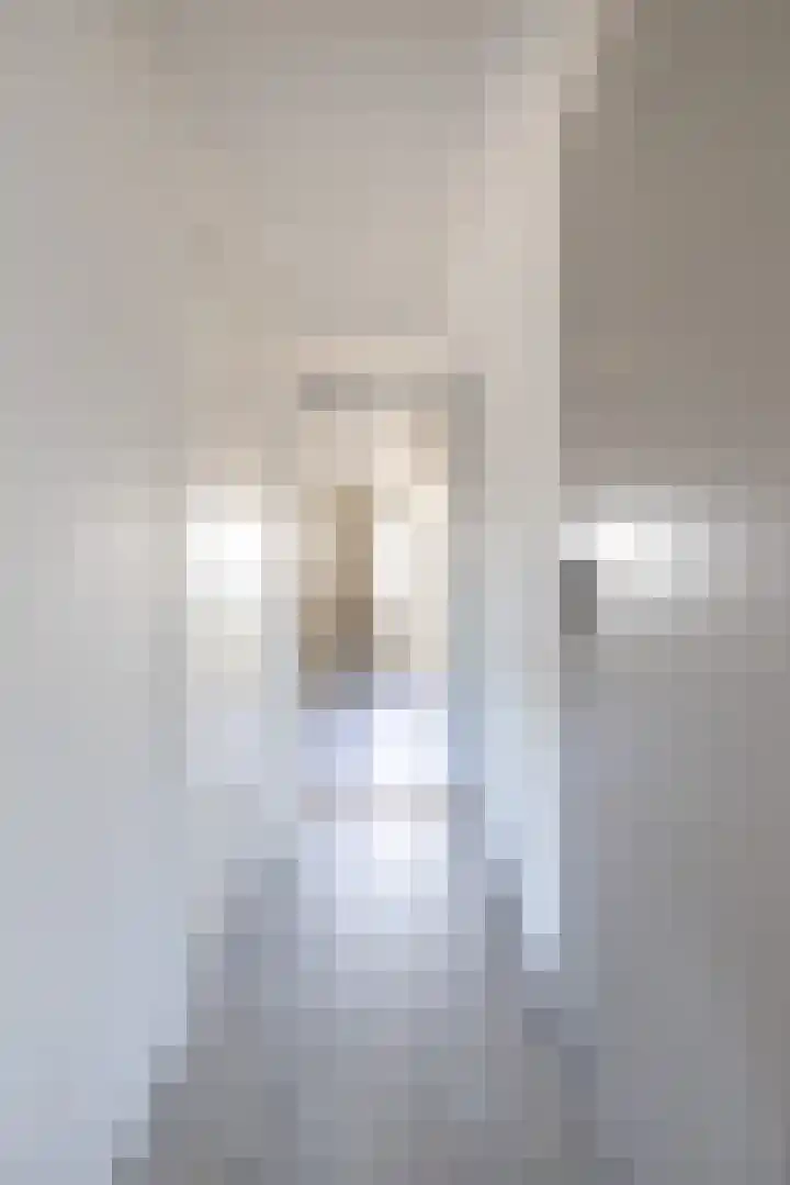 Hoofdstraat 22 Ferwert thumbnail 33