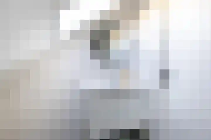 Hoofdstraat 22 Ferwert thumbnail 35