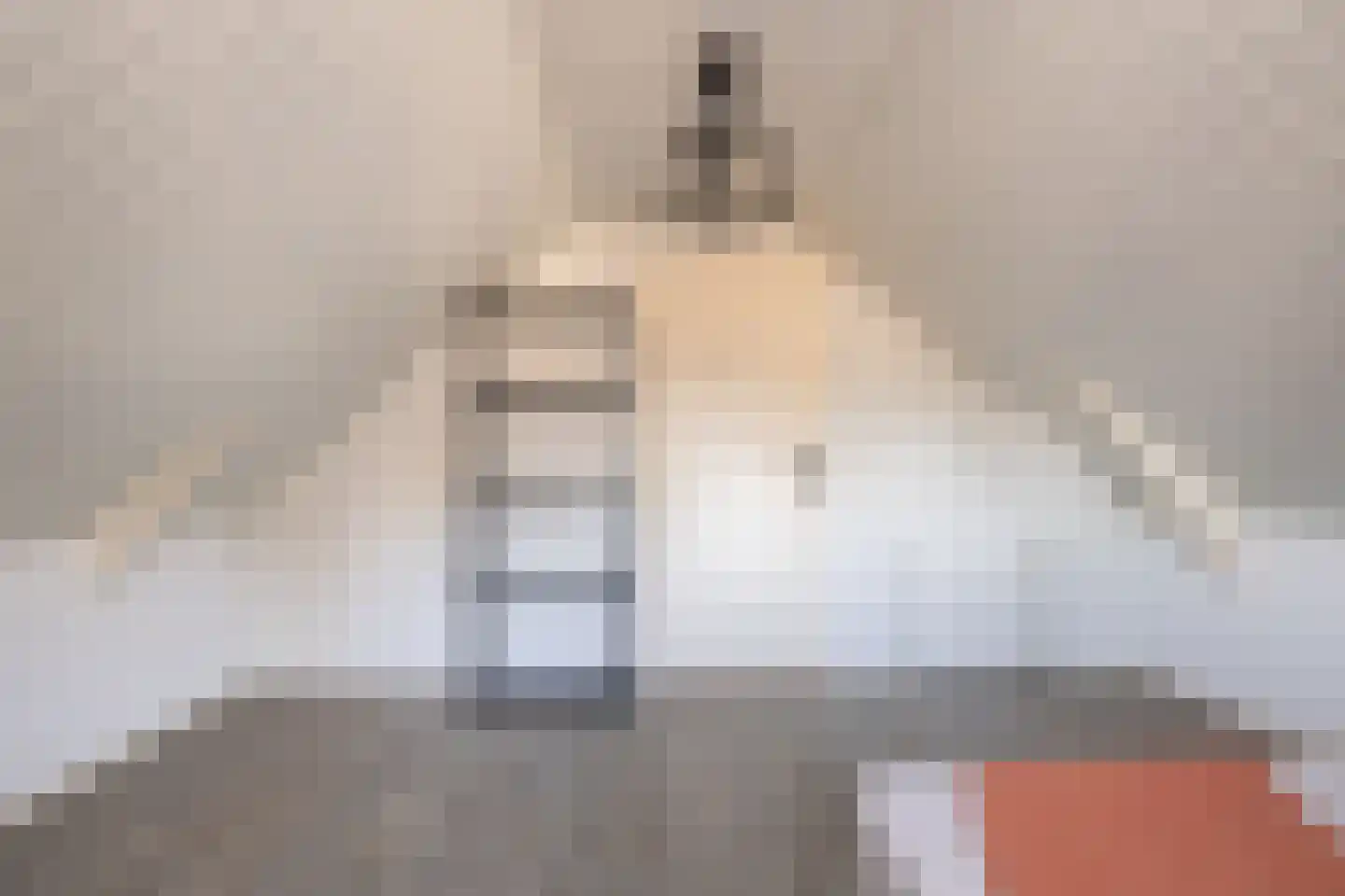 Hoofdstraat 22 Ferwert thumbnail 37
