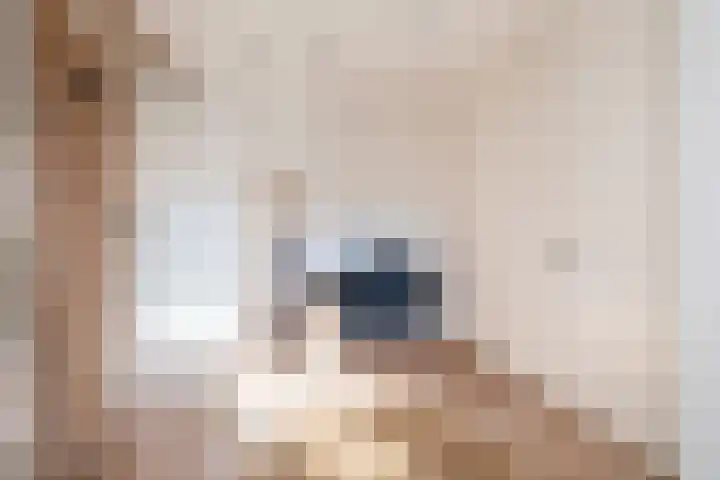 Hoofdstraat 22 Ferwert thumbnail 40