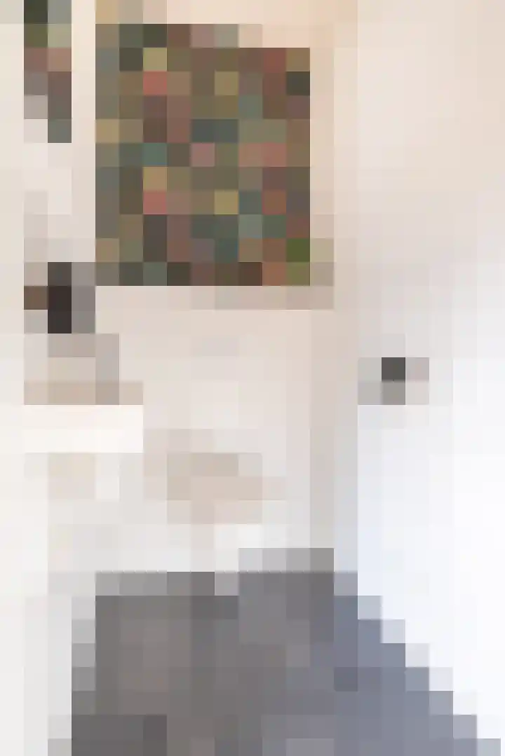 Hoofdstraat 22 Ferwert thumbnail 42