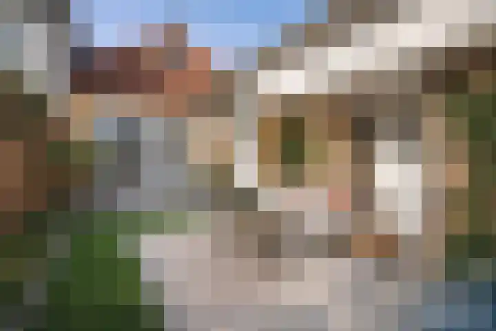 Hoofdstraat 22 Ferwert thumbnail 48