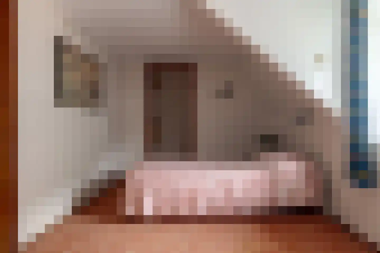 Hoofdstraat 22 Westerbork thumbnail 46