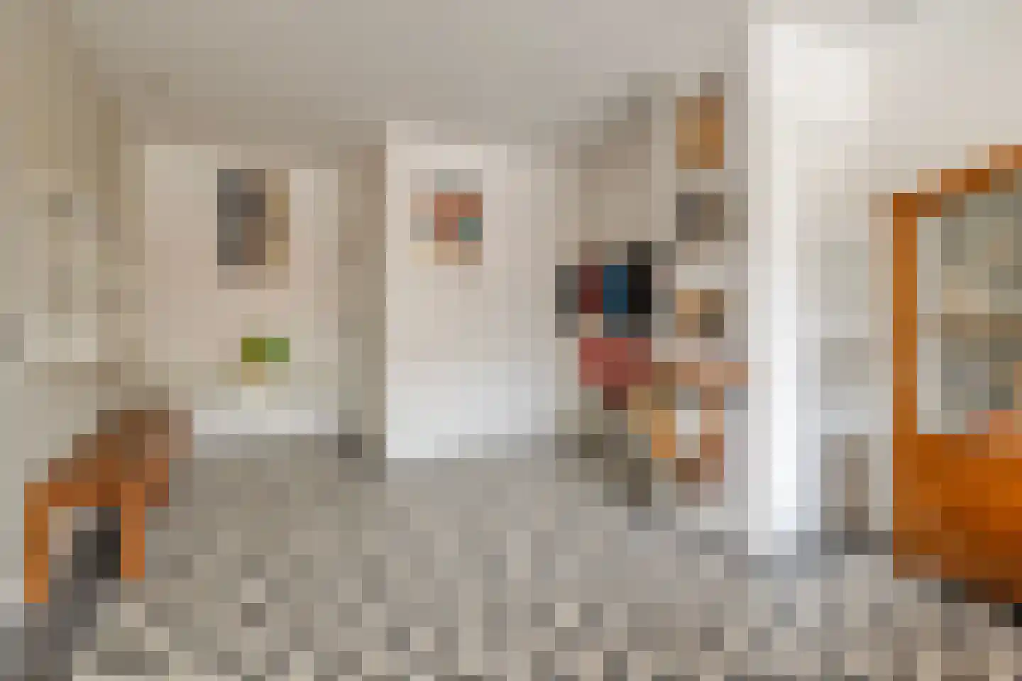 Hoofdstraat 227 Beerta thumbnail 10