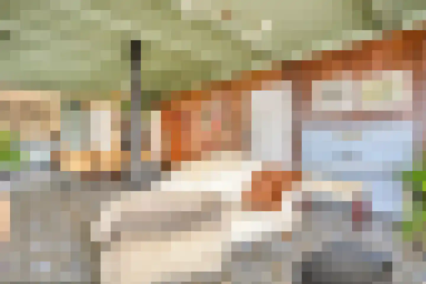 Hoofdstraat 227 Beerta thumbnail 15