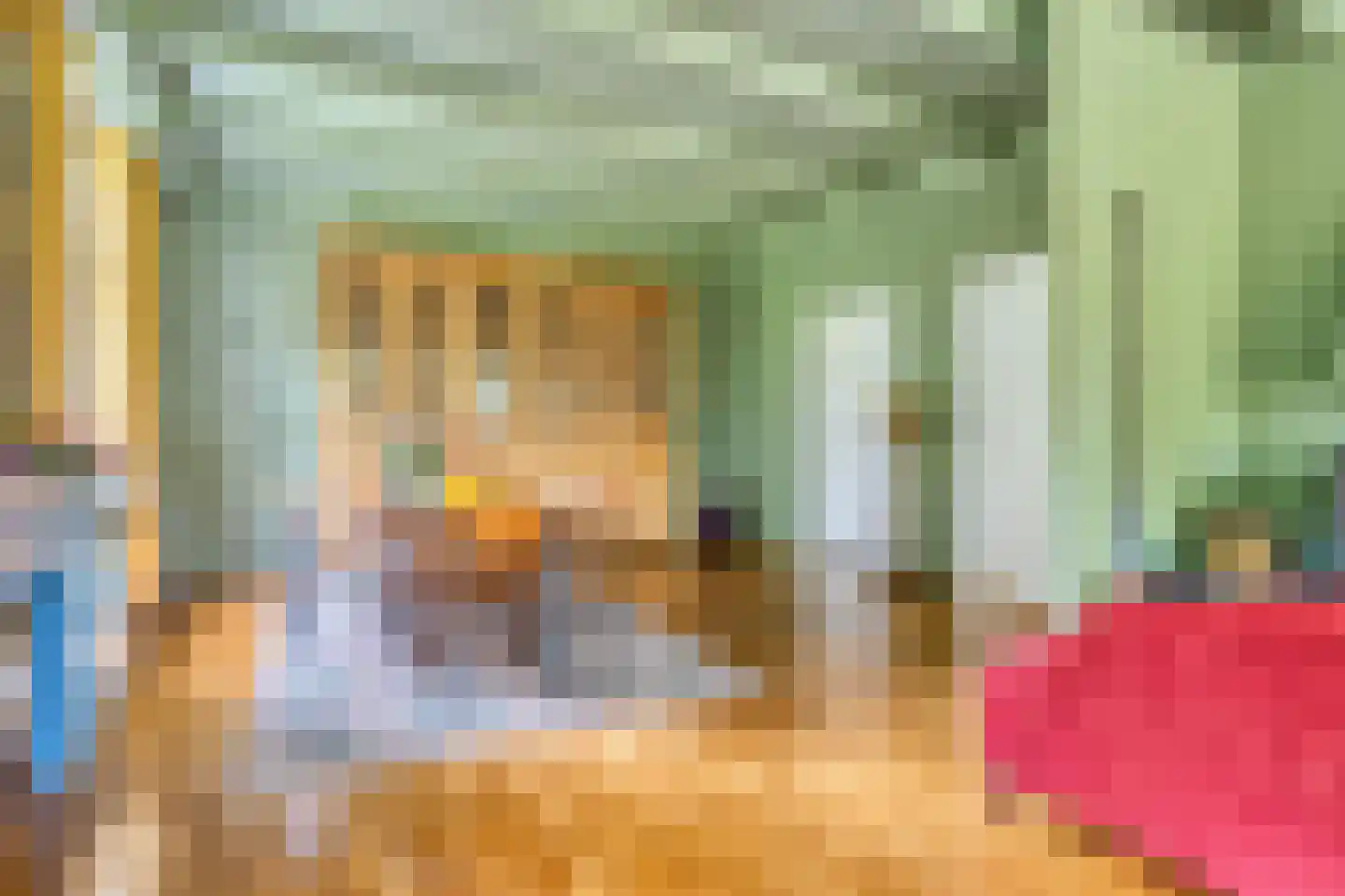 Hoofdstraat 227 Beerta thumbnail 23