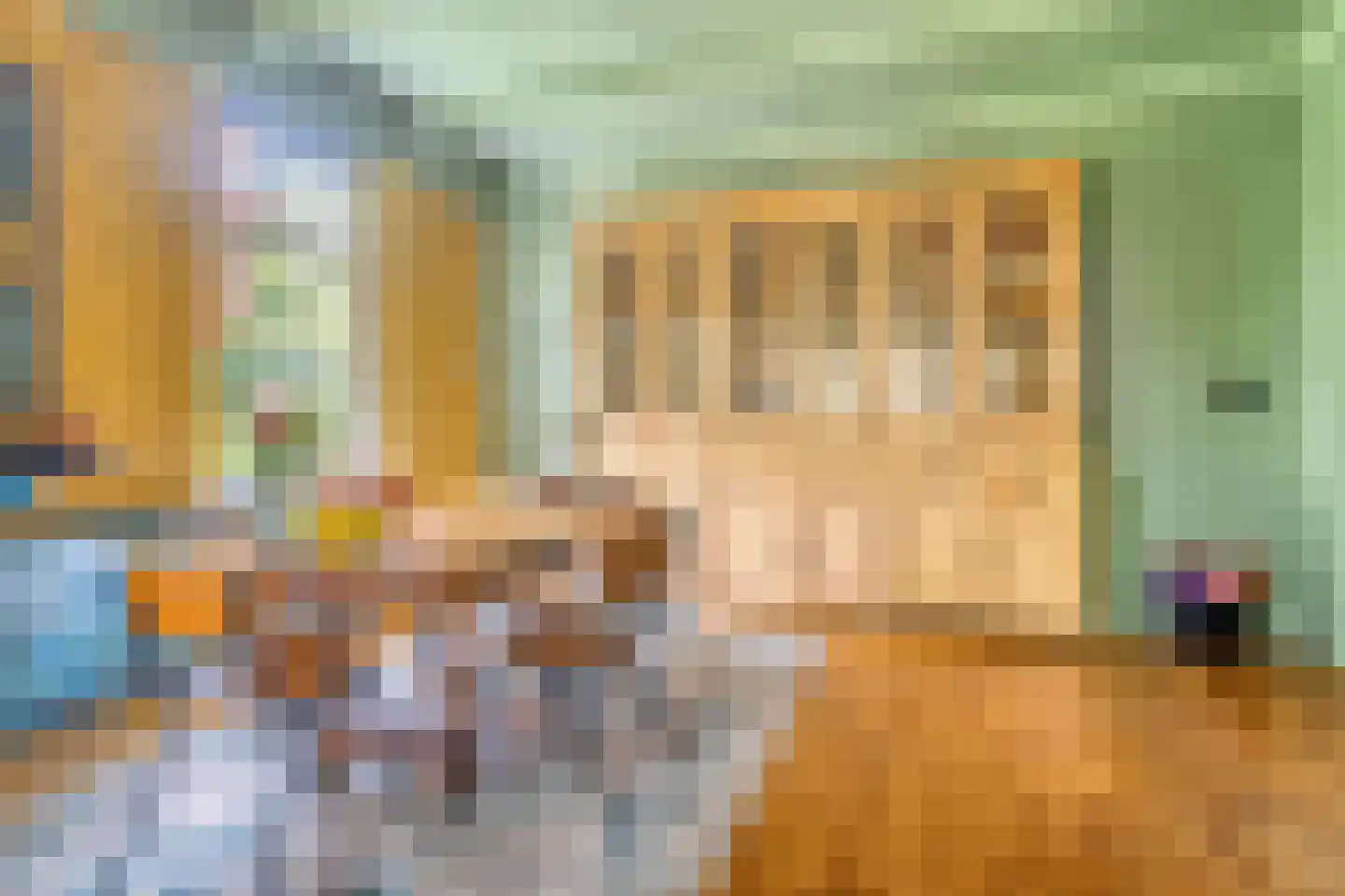 Hoofdstraat 227 Beerta thumbnail 24