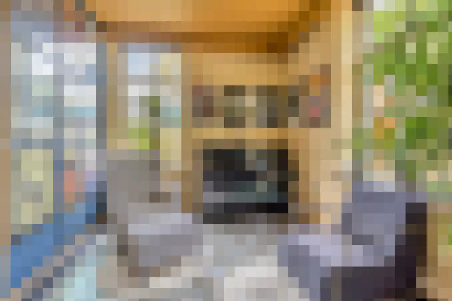 Hoofdstraat 227 Beerta thumbnail 30