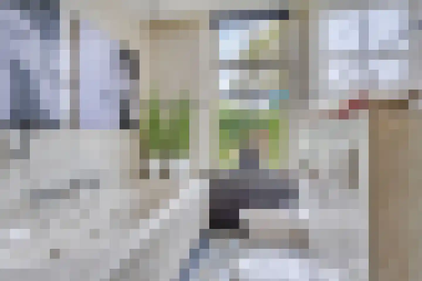 Hoofdstraat 227 Beerta thumbnail 32